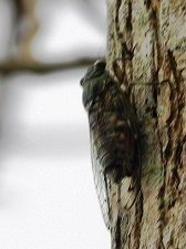 20121010 okinawa (12).jpg